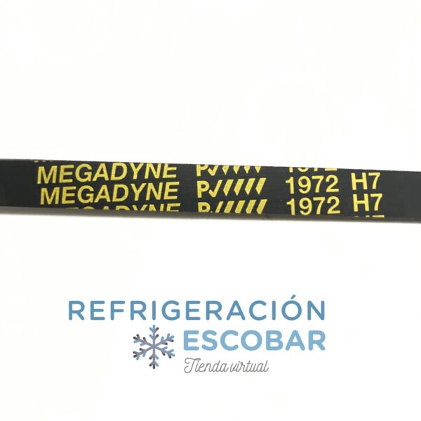 CORREA 1972 H-7 MEGADINE